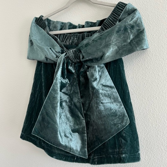 Elegant Velvet Off-Shoulder Top - Picture 3 of 6